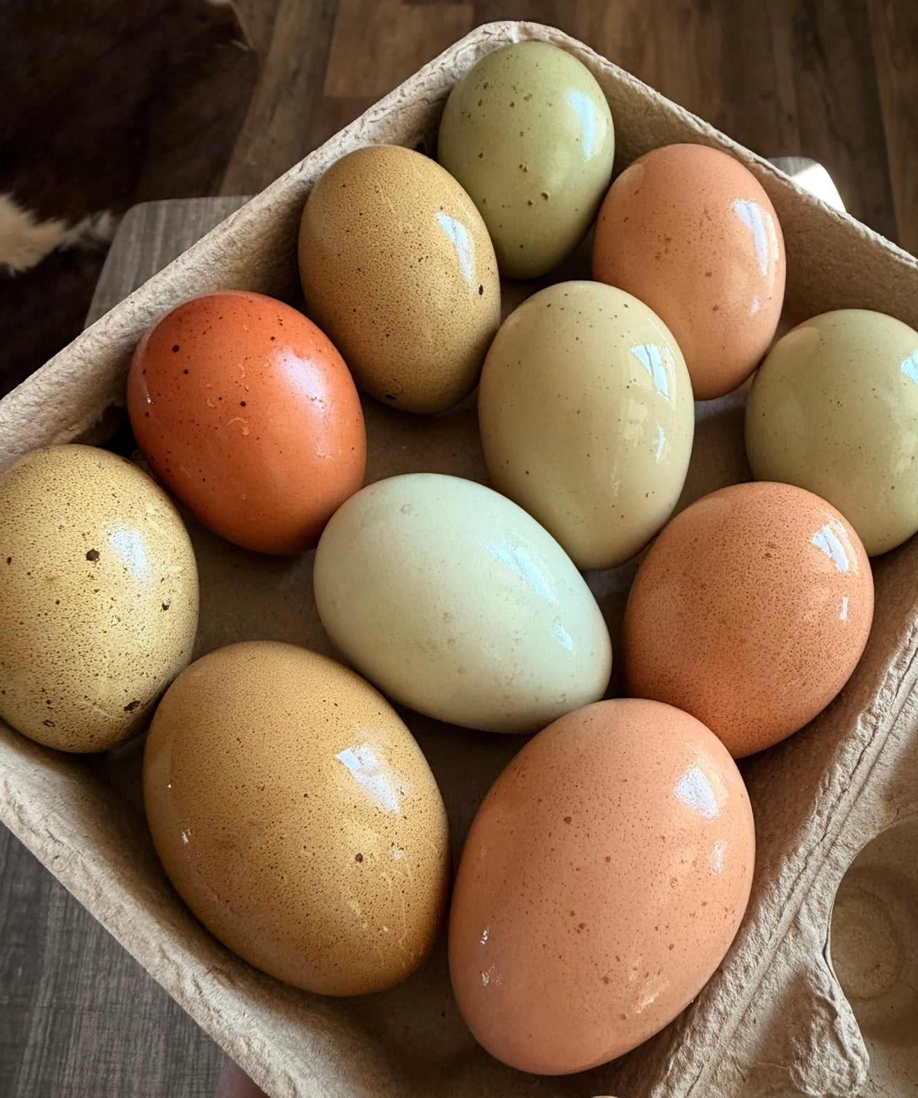 Chicken | Eggs