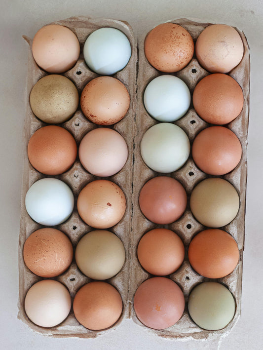 Pasture raised eggs